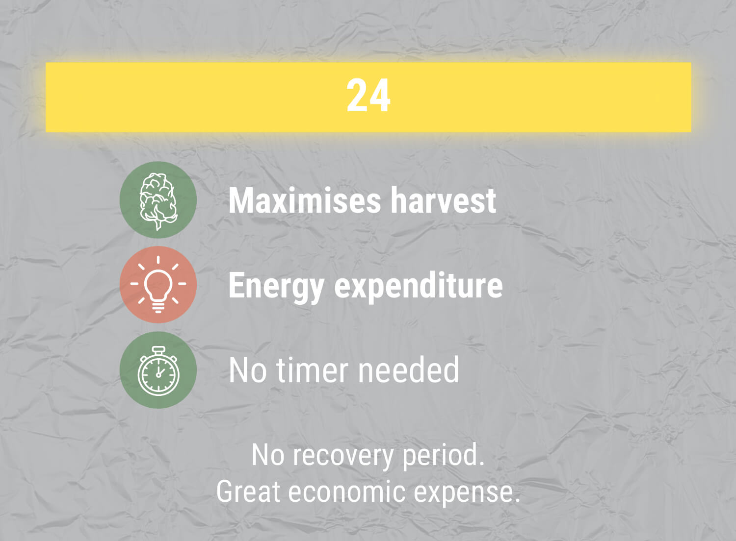 The Perfect Light Schedules For Autoflower Cannabis RQS Blog